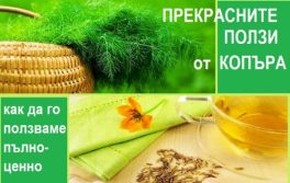 Ползи и вреди от приема на копър.
