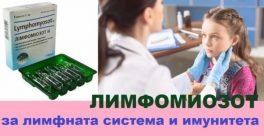 Лимфомиозот за лимфни възли и имунитет