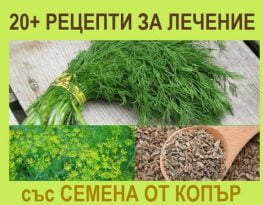 Семена от копър, лечение