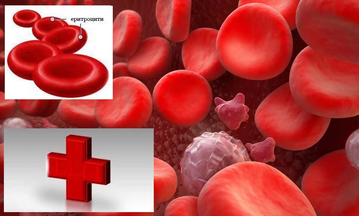 Наличие на кръв в урината (хематурия) – кои заболявания може да бъдат причина?