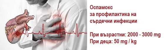 Оспамокс, антибиотик амоксицилин