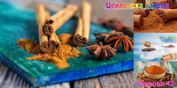 Цейлонска канела. Ползи и вреди.