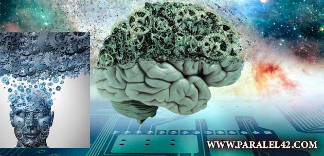 вечен живот, безсмъртие 01 мозък