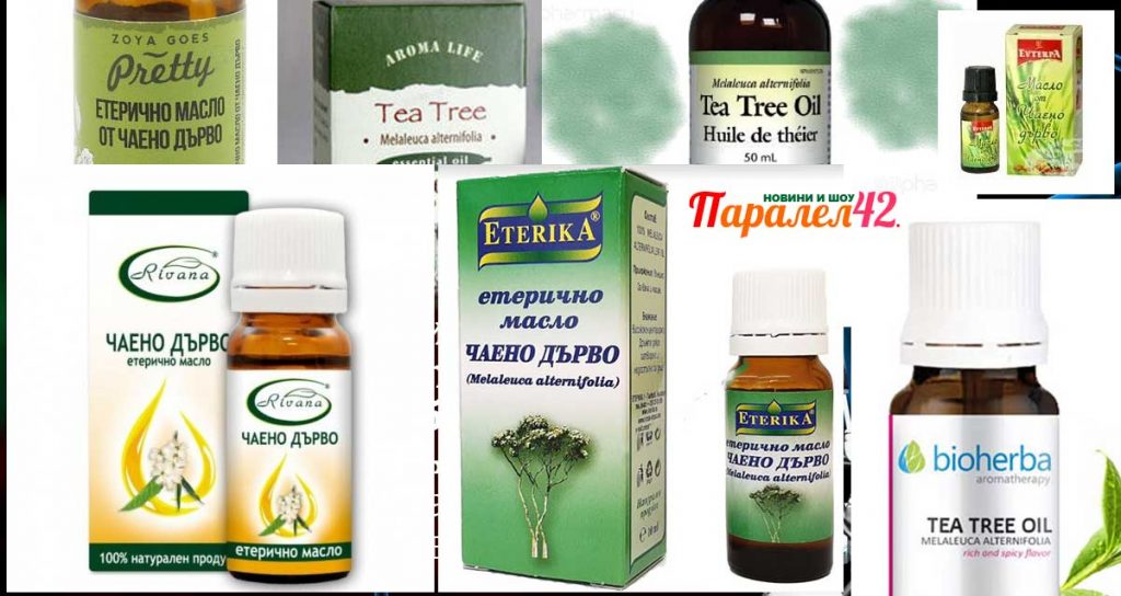 Какво е чаено дърво… … и какво съдържа маслото му