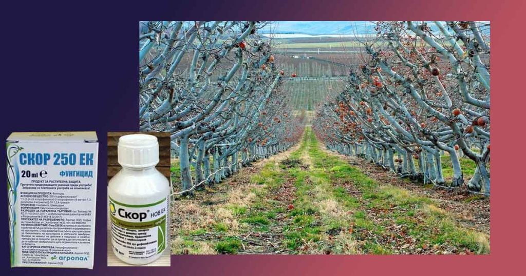 Скор 250 ЕК. Кога се пръска с него? Дозировка за 10 литра вода. С какво се комбинира този фунгицид?