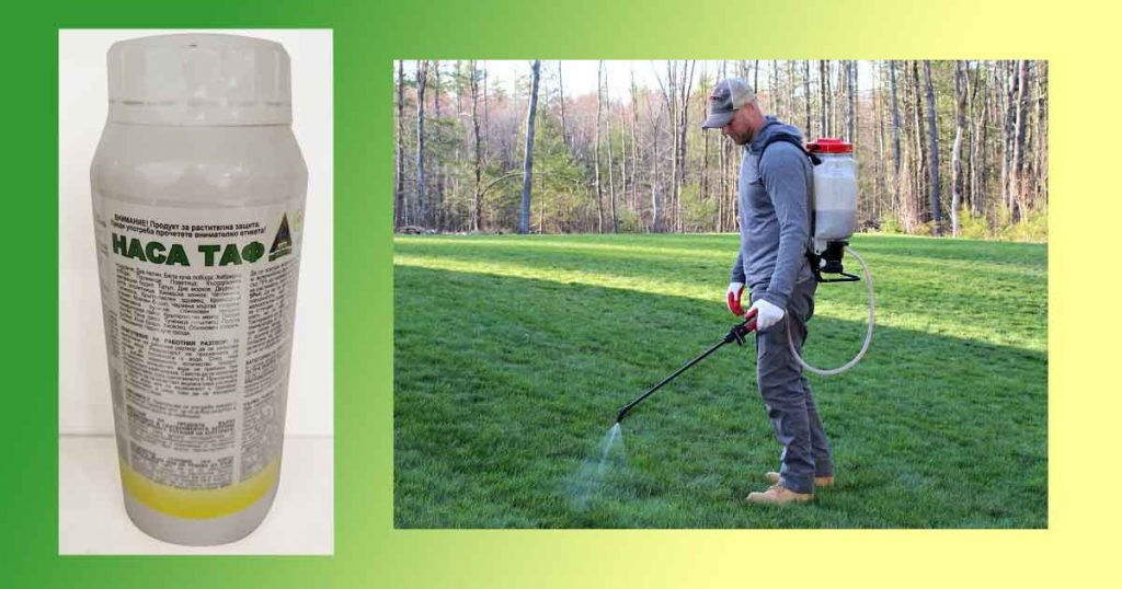 Дозировка на препарат Наса, 1л и 5 литра, цена. Колко се слага на една пръскачка. Раундъп или Наса ТАФ? Други хербициди за трева (отрова за трева) и растителна защита.