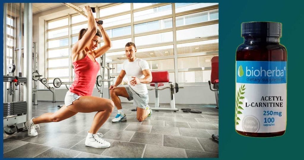 След като се набави достатъчно количество от него, л-карнитинът се съхранява в скелетните мускули и в черния дроб, а при натоварване, това количество постепенно се изразходва.